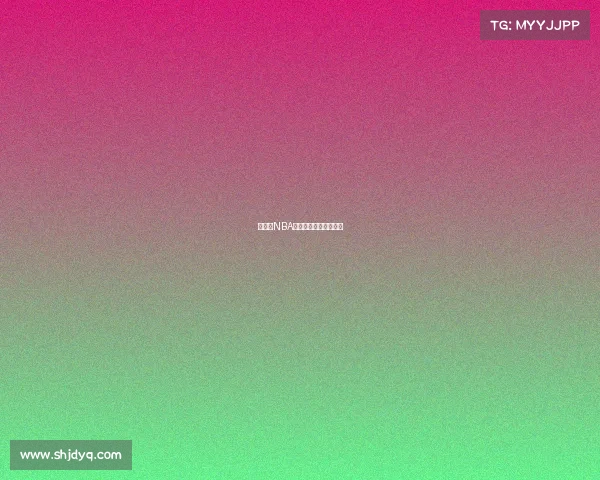 火箭队NBA赛事激情燃控巅峰对决