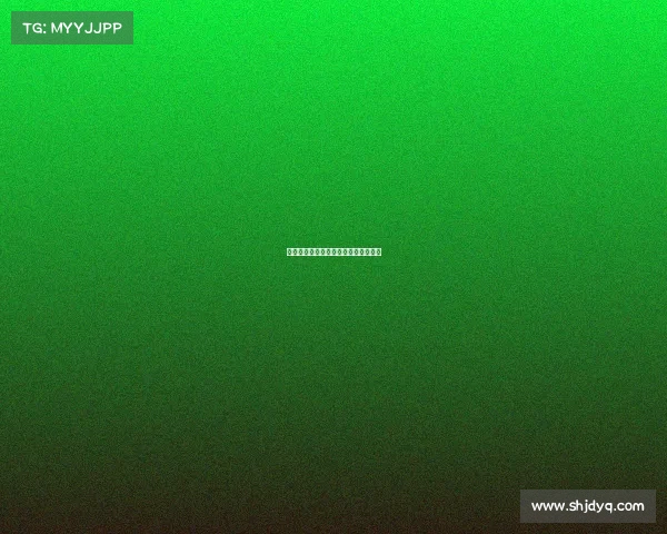 飞虎篮球赛事—飞虎篮球训练场在哪里